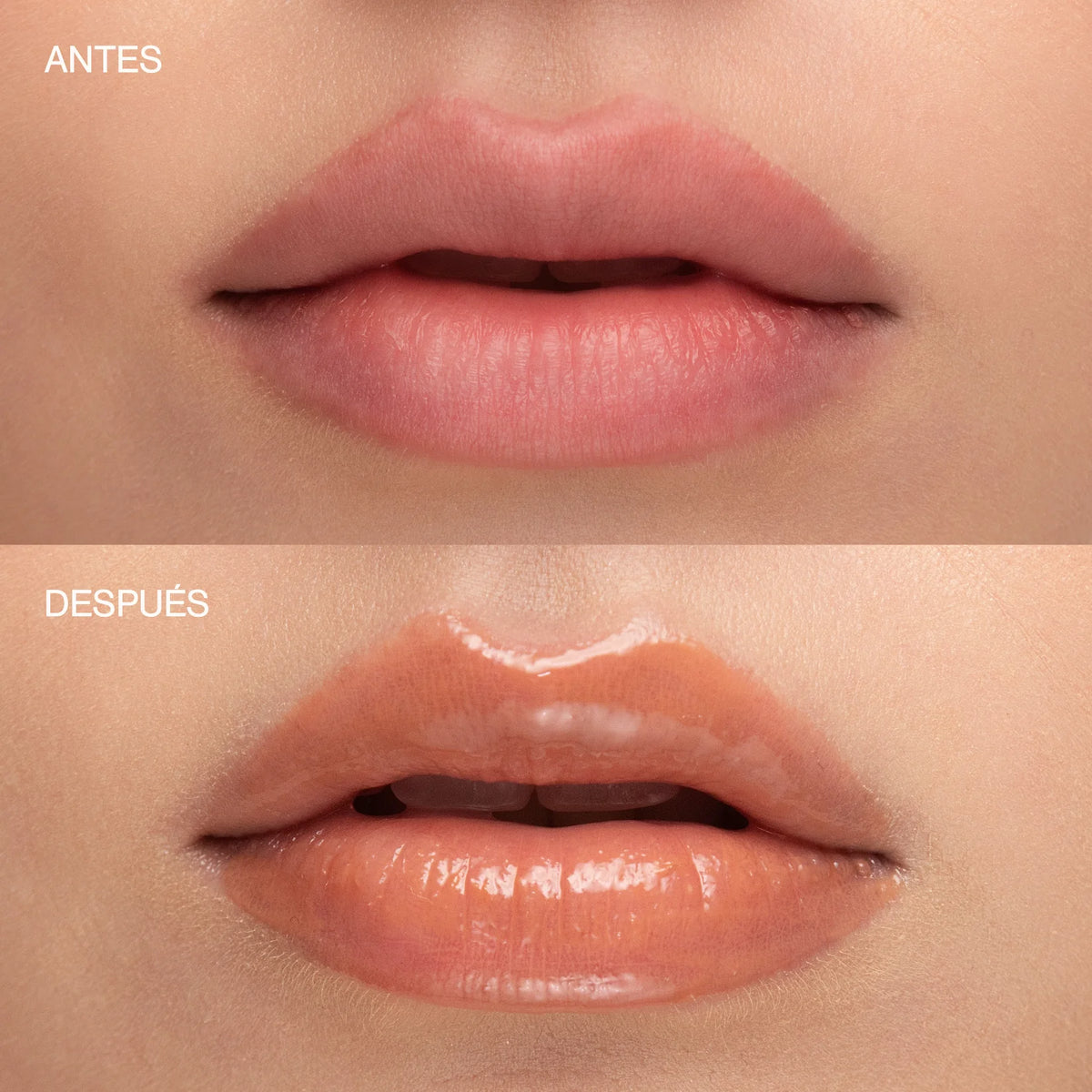 Brillo para labios Sublime