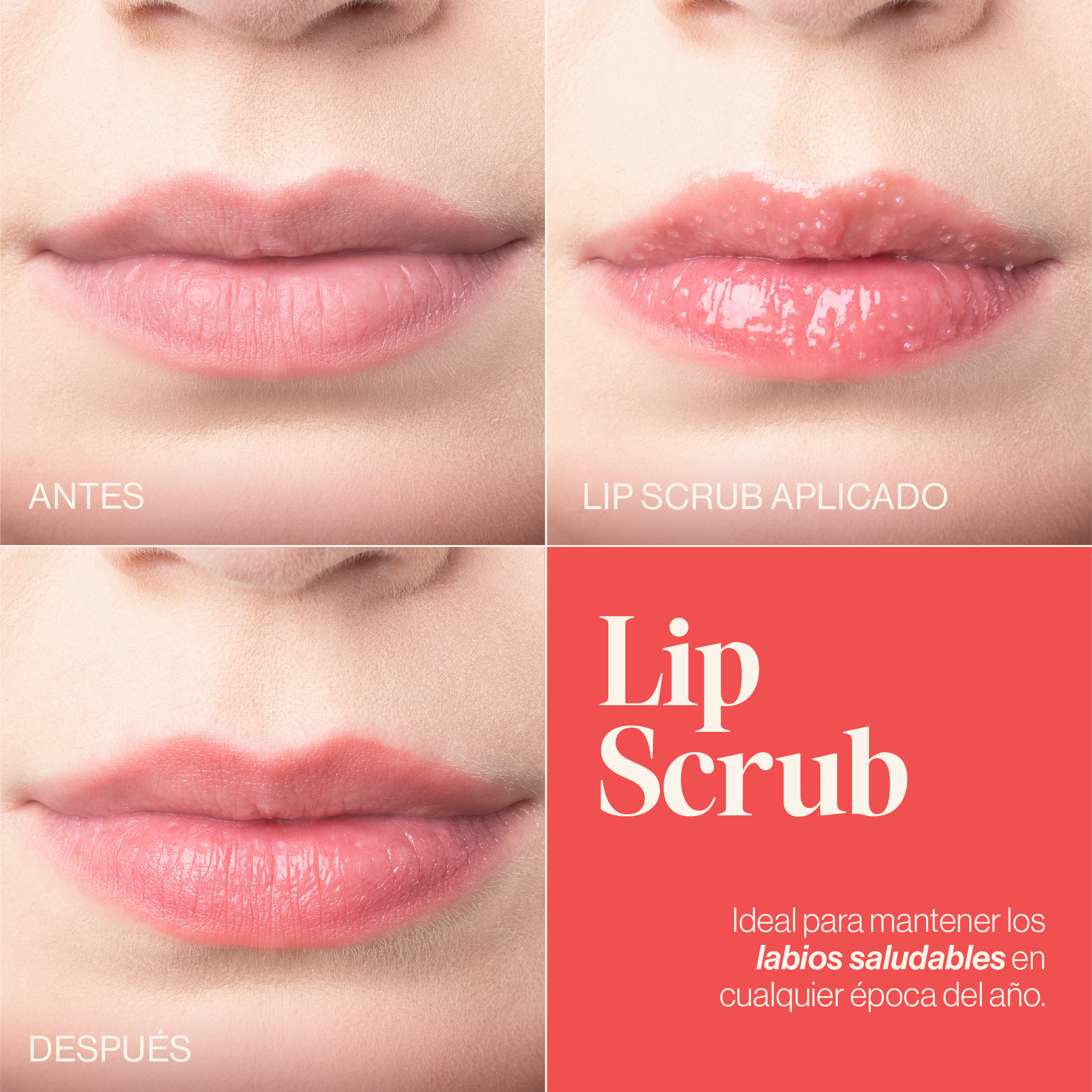 EXFOLIANTE PARA LABIOS | LIP SCRUB