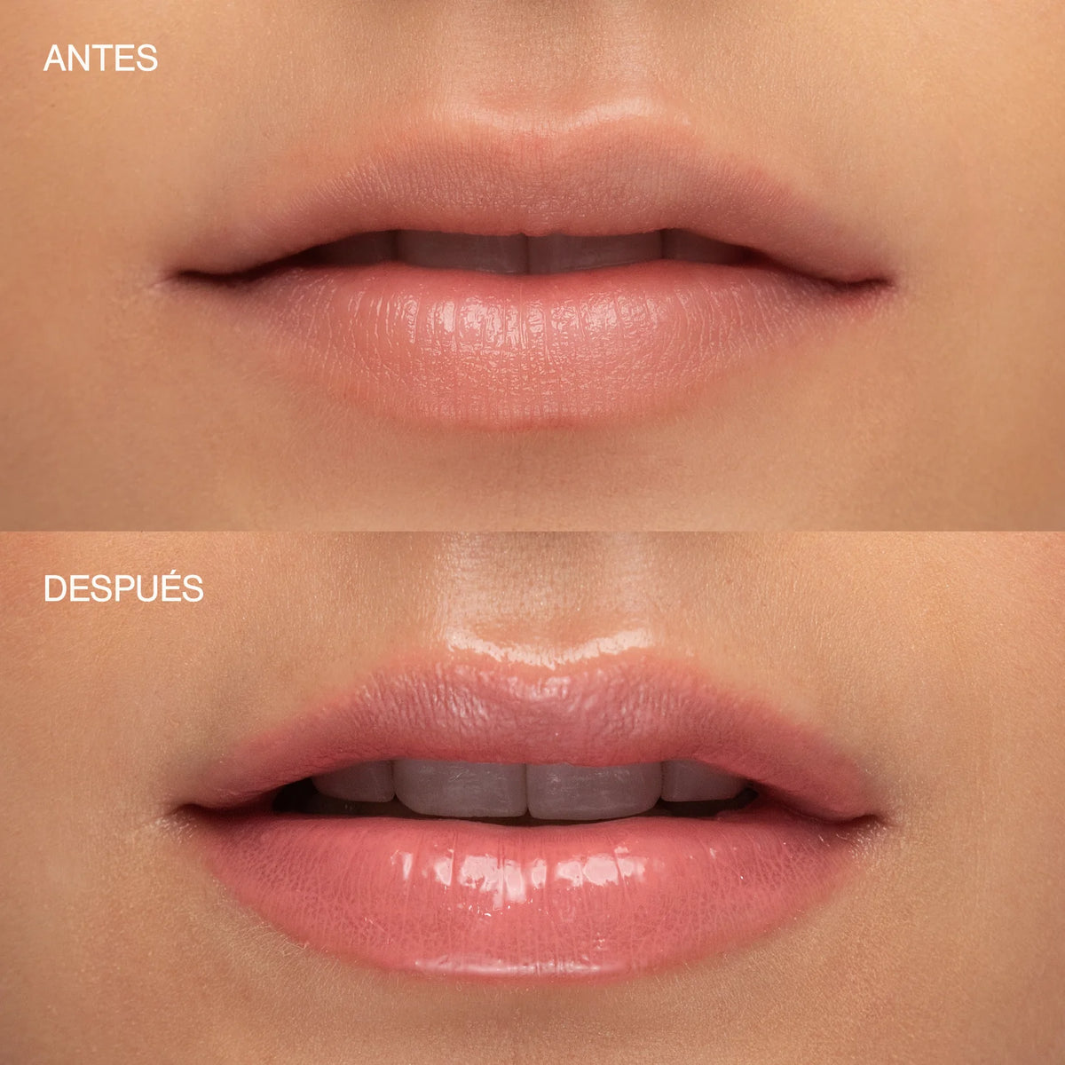Brillo para labios Sublime