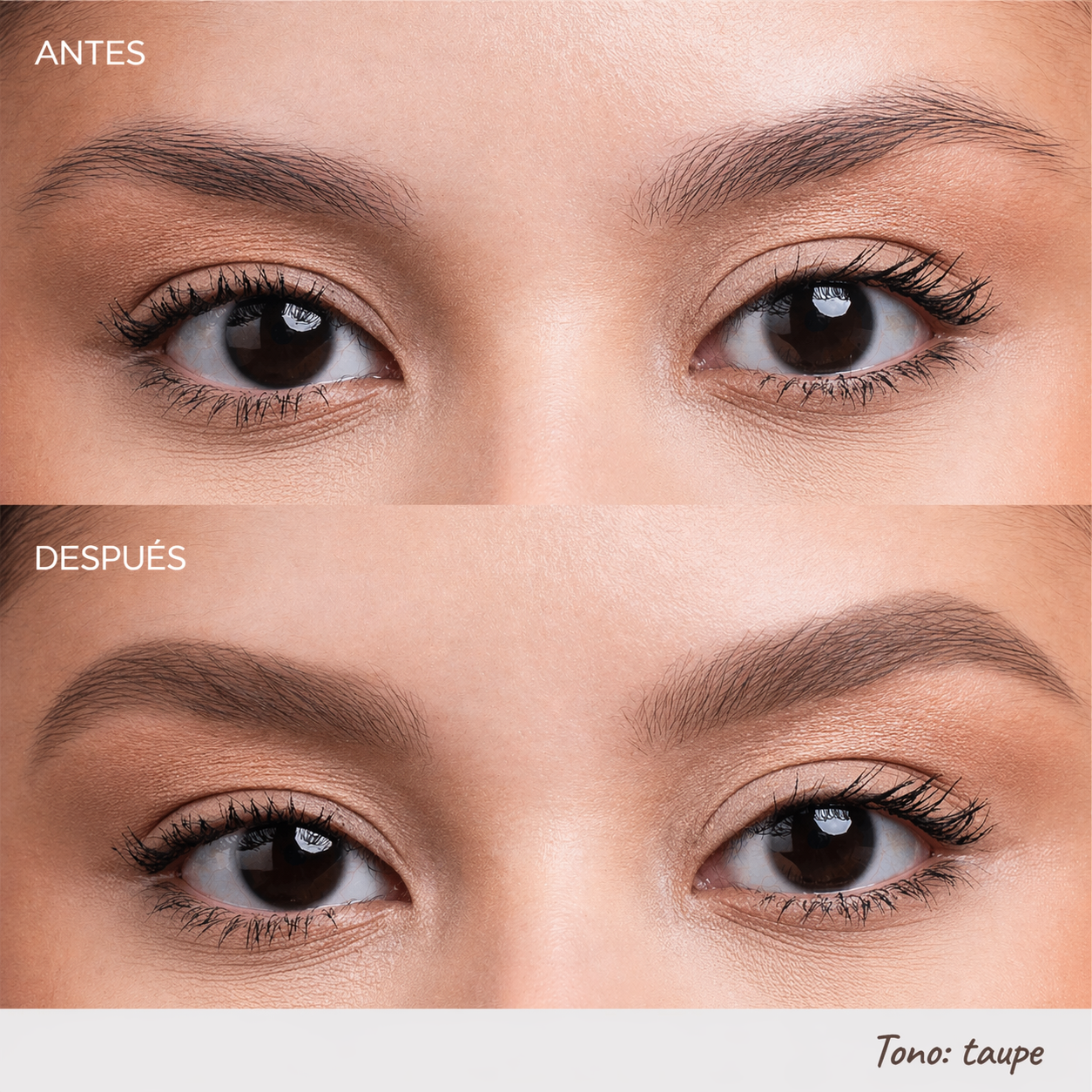 LÁPIZ DE CEJAS COLLECTION